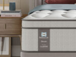 Sealy Elevate Holst Medium Mattress 3