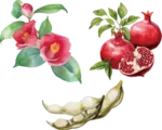 花イメージ