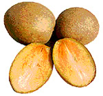 sapotille