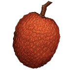 litchis