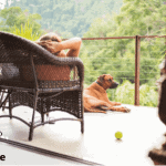 What are The Best Pet-Friendly Hotels in the World ?