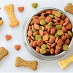 What is the fastest way for a dog to lose weight?