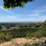 Freehand Cellars