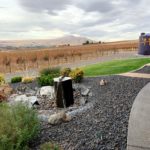 Friday on the Hamilton Cellars Grounds