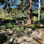 AWC in Sonoma wine country