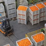 Importaciones UE ruina sector primario