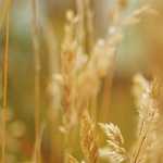 ビデオで見る石貼り状況（建築工事偏）