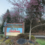 How to Get More Customers for Your Business in Clatskanie (Even on a Small Budget)