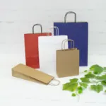 Torby papierowe z uchwytem papierowym skręcanym