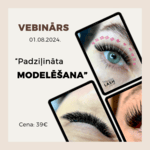 Vebinārs "Padziļināta modelēšana"