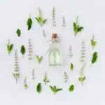 Alternativmedizin: Die Lehre der Heilpflanzen Eine kleine Glasflasche mit heller Flüssigkeit und Korken, umgeben von symmetrisch angeordneten grünen Blättern und Blütenzweigen auf weißem Leinen; erkunden Sie alternative Heilmethoden für eine fundierte, ganzheitliche Orientierung mit Vitawy.