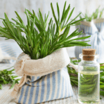 óleo essencial de alecrim benefícios