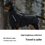 dog winter coat
