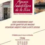 Flyer de l’Agence Immobilière de la Nive avec photos de la façade et du quai de la Nive, informations de contact et services immobiliers.