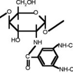 chitosan chemical structure chitosan chemical structure