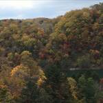 お知らせに使用する秋の山の画像