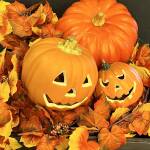 お知らせに使用する10月の画像（ハロウィン）