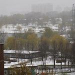 Вид из окна на Пенягинский пруд и парк Митино