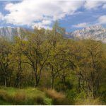 пейзажная фотосъемка 