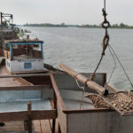 Производственная съемка: рыба