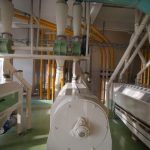 Фотосъемка производства муки: реологические свойства