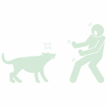 chien agressif et mordeur