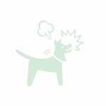 chien méchant et agressif