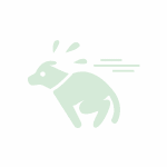chien hyperactif
