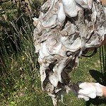 Haarseife kaufen natuerlich ohne silikone haarseifenprobierset