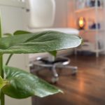 Essential Beauty 21 Studioimpression