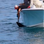 Reeling in a Tuna Fish