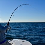 Fisherman Reeling Large Tuna
