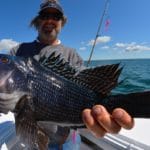 Cape Cod Black Sea Bass Fishing with Reel Deal