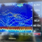 Cape Cod Deep Sea Fishing Charters