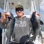 cape cod charter fishing Light Tackle