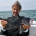 cape cod charter fishing Light Tackle