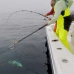 Van Staal Spinning Gear Bluefin Tuna Fishing