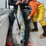 Cape Cod Fishing Charters for Bluefin Tuna with Reel Deal