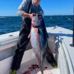 Cape Cod Fishing Charters for Bluefin Tuna with Reel Deal