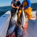 Cape Cod Deep Sea Fishing for Bluefin Tuna