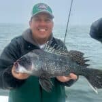 Cape Cod Fishing Charters for Black Sea Bass with Reel Deal