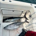 Cape Cod Bluefin Tuna Fishing with Captain Bobby Rice