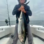 Cape Cod Bluefin Tuna Fishing with Captain Bobby Rice