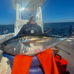 Cape Cod Bluefin Tuna Fishing Charters with Reel Deal