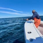 Cape Cod Bluff Tuna Fishing with Reel Deal