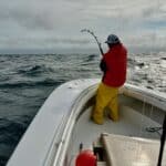Cape Cod Bluff Tuna Fishing with Reel Deal