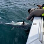 Cape Cod Bluff Tuna Fishing with Reel Deal