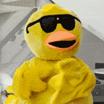 text6 qucky kiss2