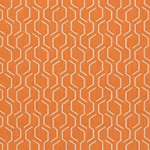 Adaption Apricot