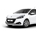 Grupo Marthe | Detalle